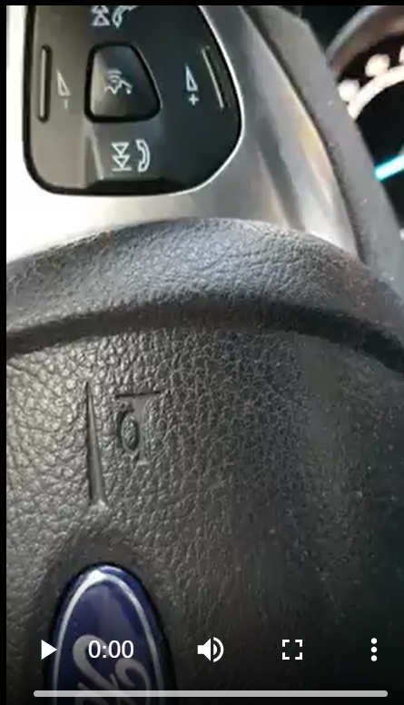 請問有車友遇過這種症狀嗎？靜止狀態轉動方向盤發出的聲音，感覺不是輪胎發出來的
